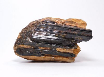 Skoryl - MKZ, Hatě, Dolní Bory u Vel. Meziříčí